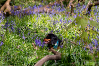 Z62_3070