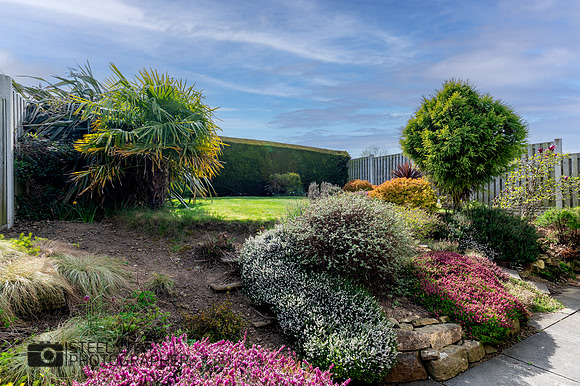 Z62_9463-HDR-Edit