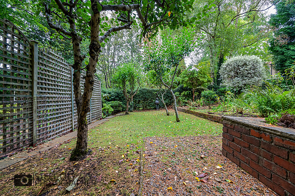 Z61_9832-HDR-Edit
