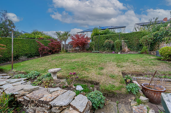 Z61_4595-HDR-Edit