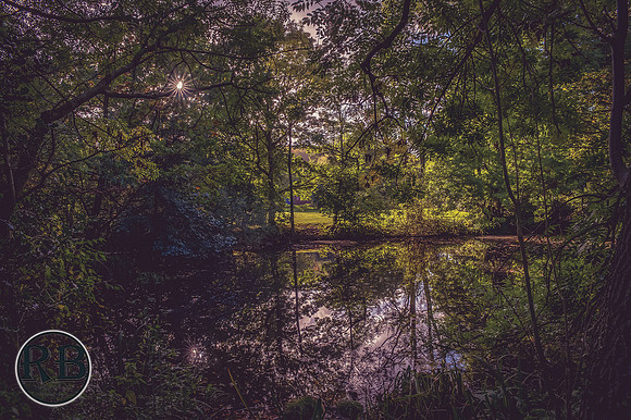 Z61_0391