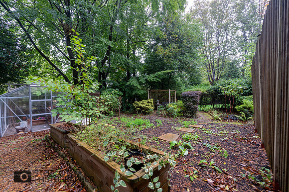 Z61_5862-HDR