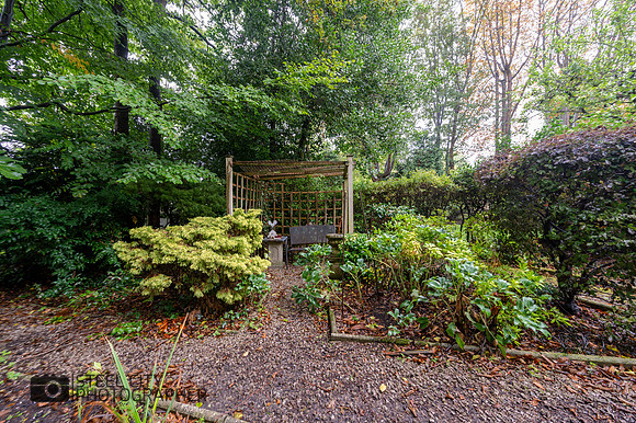 Z61_5868-HDR