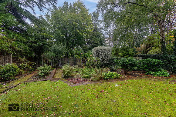 Z61_5880-HDR-Edit