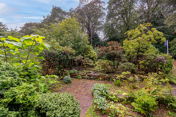 Z61_5904-HDR-Edit