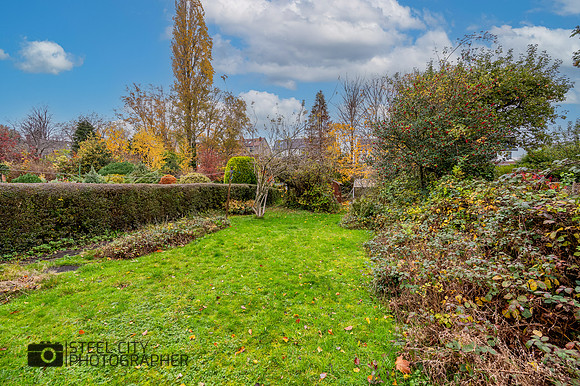 Z61_5407-HDR-Edit