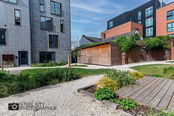 Z62_5272-HDR-Edit