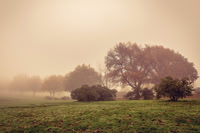 Z61_2563a
