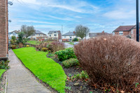 Z61_4613-HDR-Edit