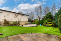 Z61_3379-HDR-Edit