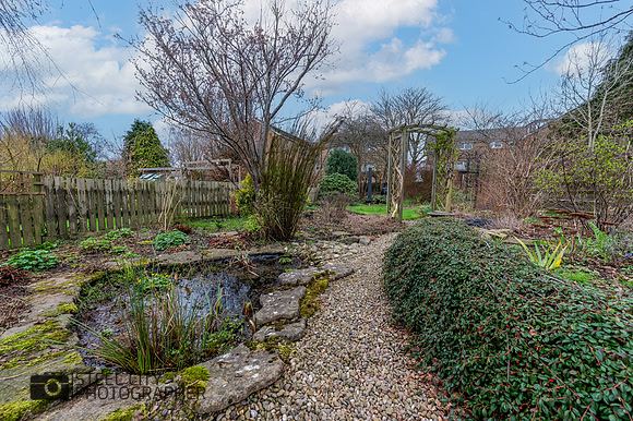 Z61_6351-HDR-Edit