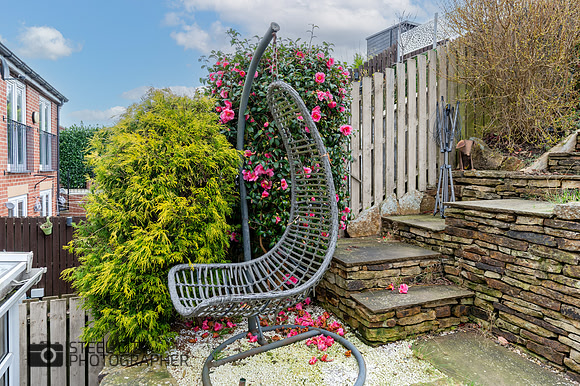 Z61_6965-HDR-Edit