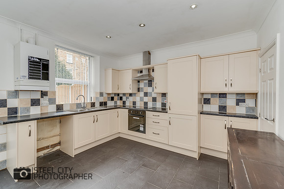 Z61_5545
