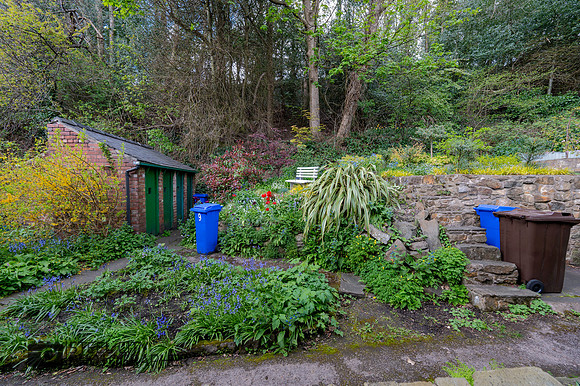 Z61_6216-HDR