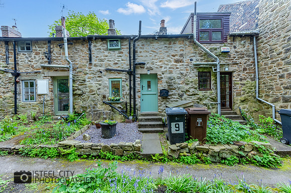 Z61_6222-HDR-Edit
