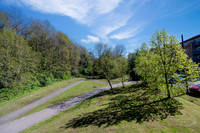 Z61_8007-HDR-Edit