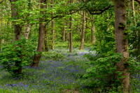 Greenhill Cub Scout Camp 2026