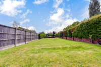 Z61_1003-Edit