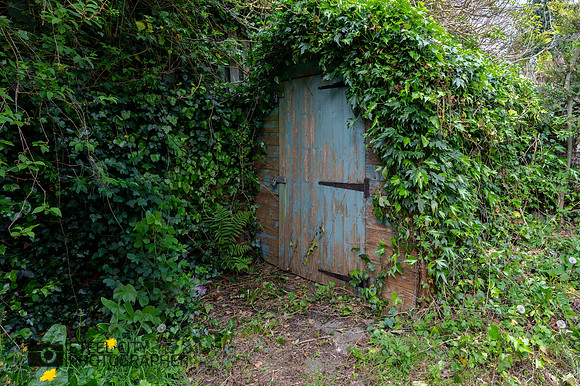 Z61_1197-HDR