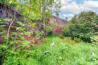 Z61_1346-Edit