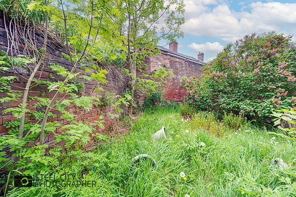 Z61_1346-Edit