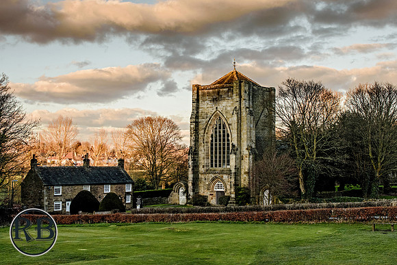 DSC_1310-3b