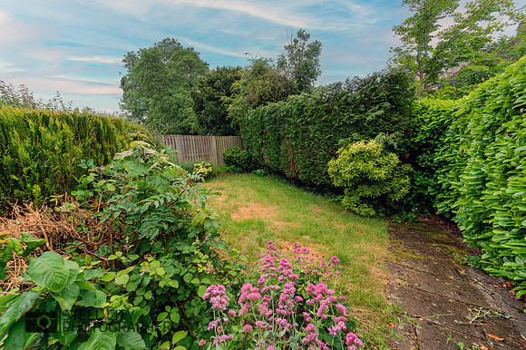 Z61_9760-HDR-Edit