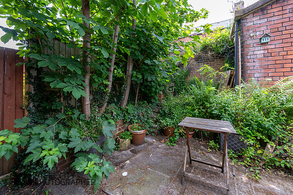 Z61_0673-HDR