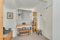 Z61_3451