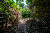 Z61_8021-HDR