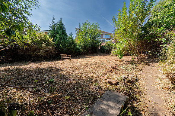 Z61_8027-HDR