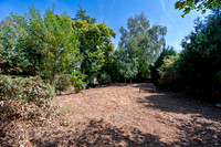 Z61_8015-HDR