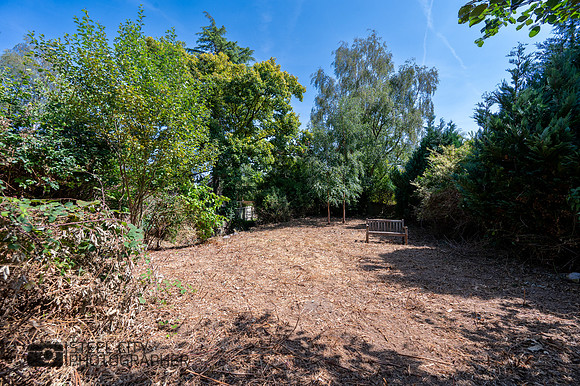 Z61_8015-HDR