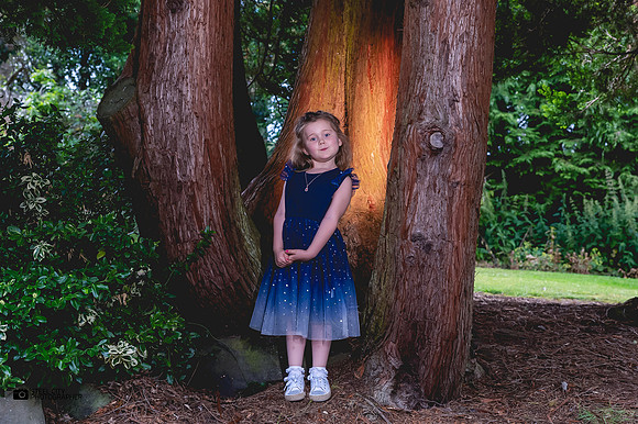 Whirlow-Brook-Hall-Wedding-Photography0038