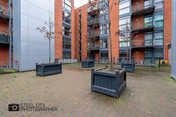 Z61_3354-HDR
