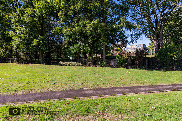 Z61_8614-HDR