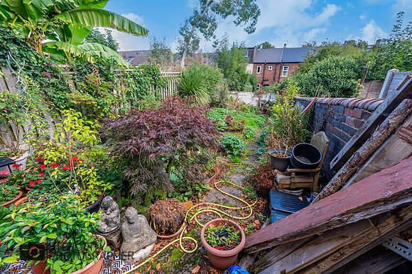 Z61_6917-HDR-Edit