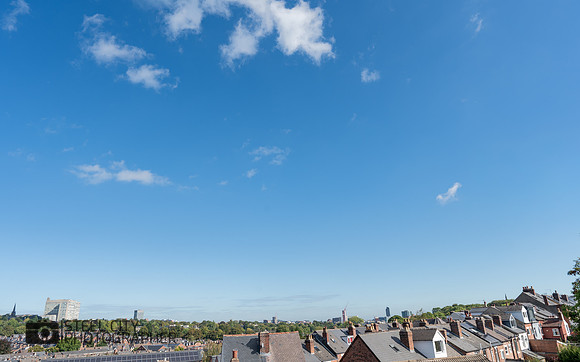 Z61_7337-HDR