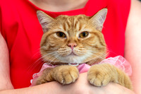 Sophie & Journey birthday shoot