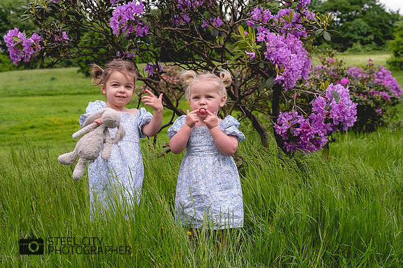 DT0008