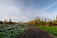 Z62_3096-HDR