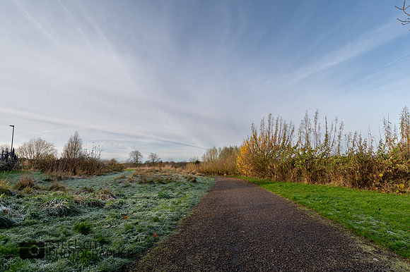 Z62_3096-HDR