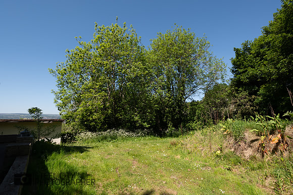 Z62_0270