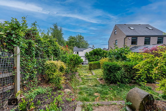 Z61_1247-HDR-Edit