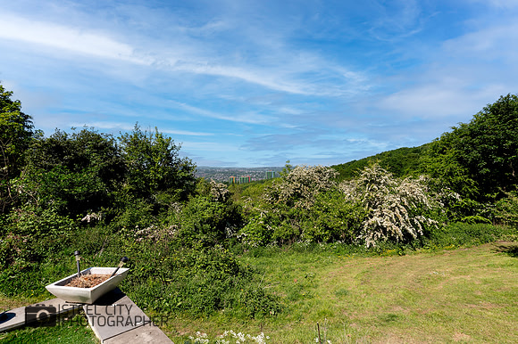 Z62_0018-Edit
