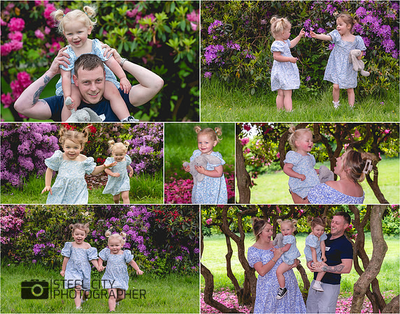 Collage2