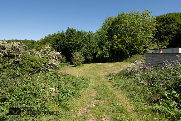 Z62_0276