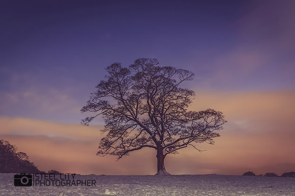 002Lone-Tree-Graves-Park