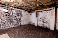 Z62_0984-Edit