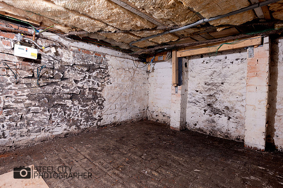 Z62_0984-Edit